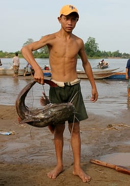 Pêche le long du fleuve Mékong