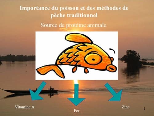 Le poisson source de protéines animales