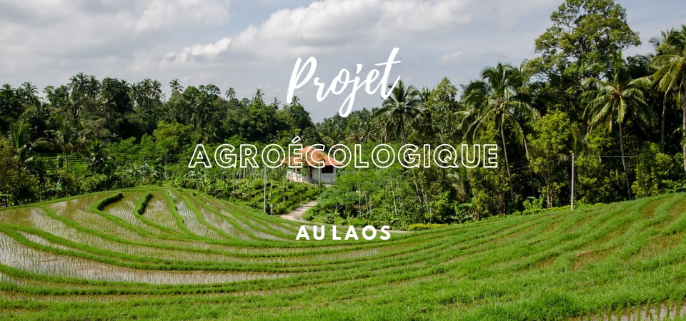 Laos projet agroécologique